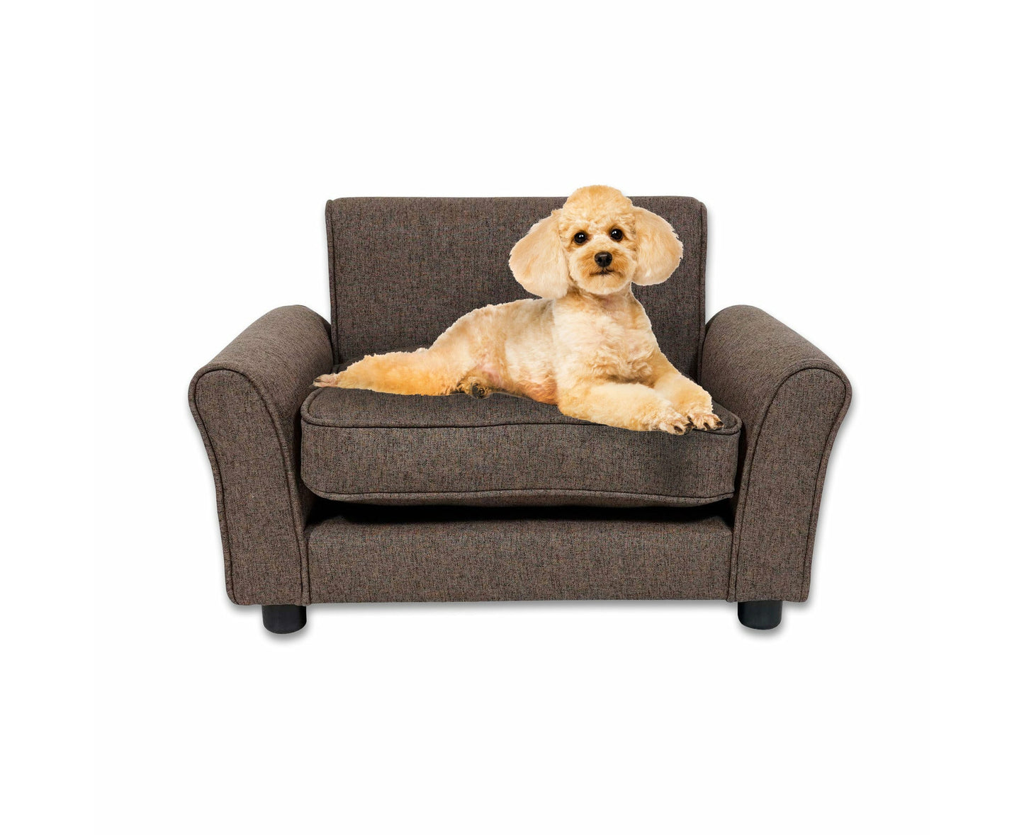 Pet Basic Luxurious Pet Chair