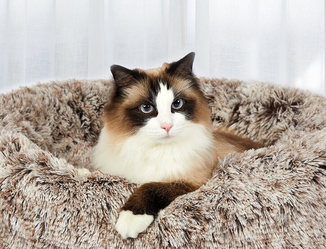 Pawevo XL Calming Donut Bed