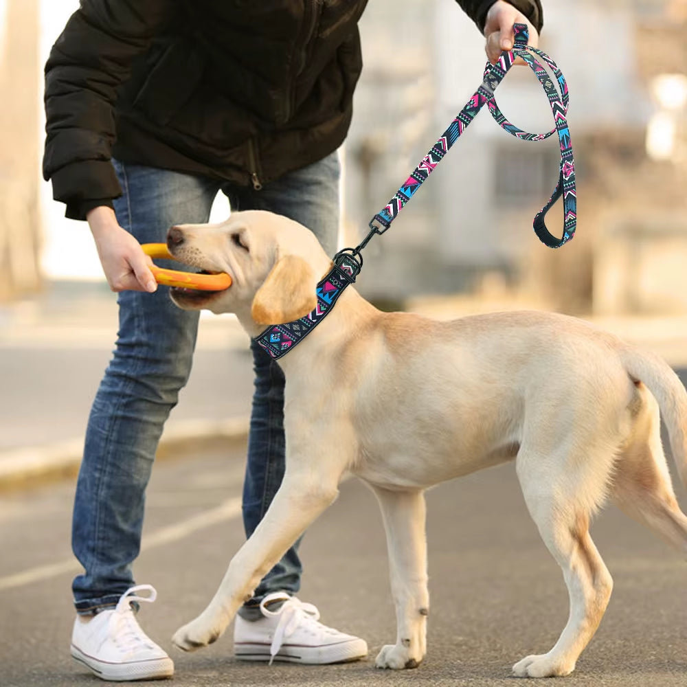 GlowStride Reflective Nylon Dog Collar & Leash Set