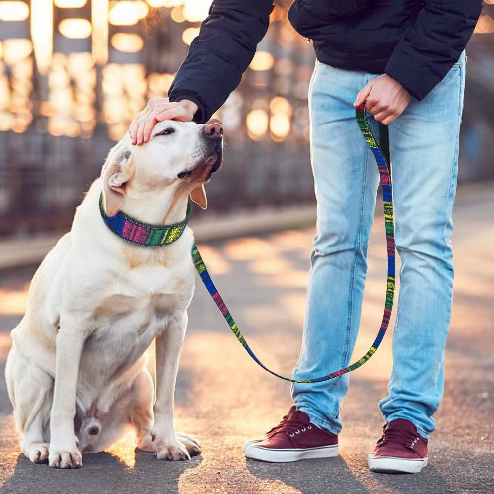 GlowStride Reflective Nylon Dog Collar & Leash Set