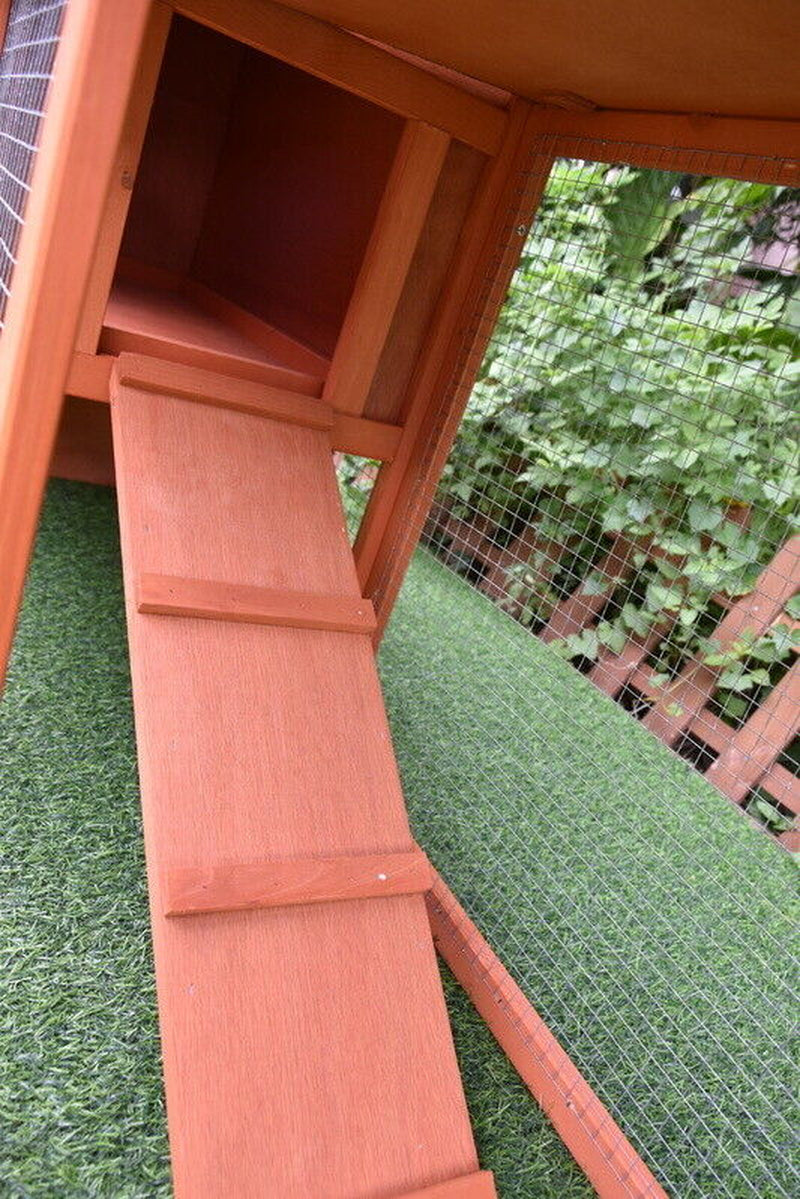 Pawhub Double Run Wooden Coop