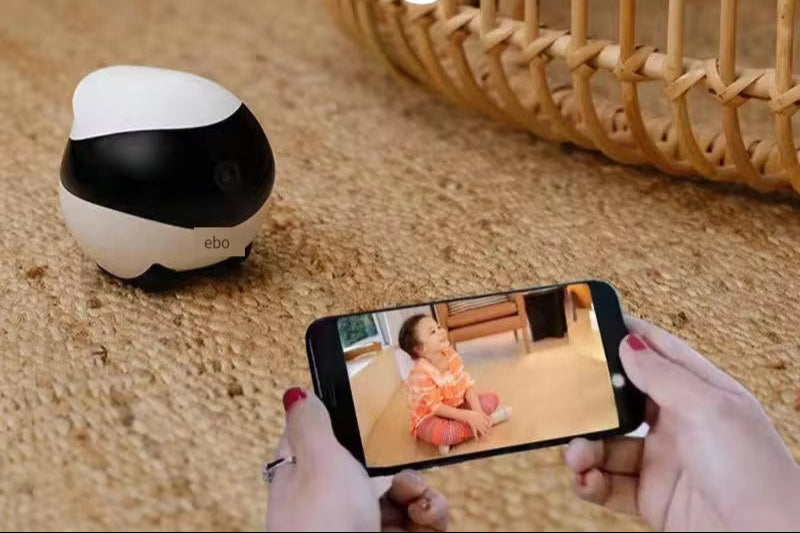 Intelligent Pet Monitoring Camera- Pet Home Companion
