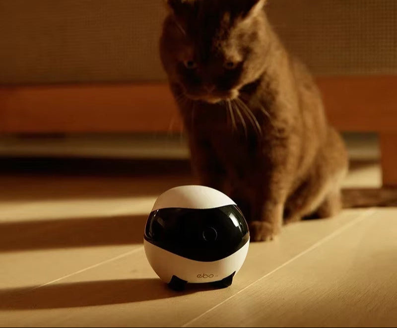 Intelligent Pet Monitoring Camera- Pet Home Companion