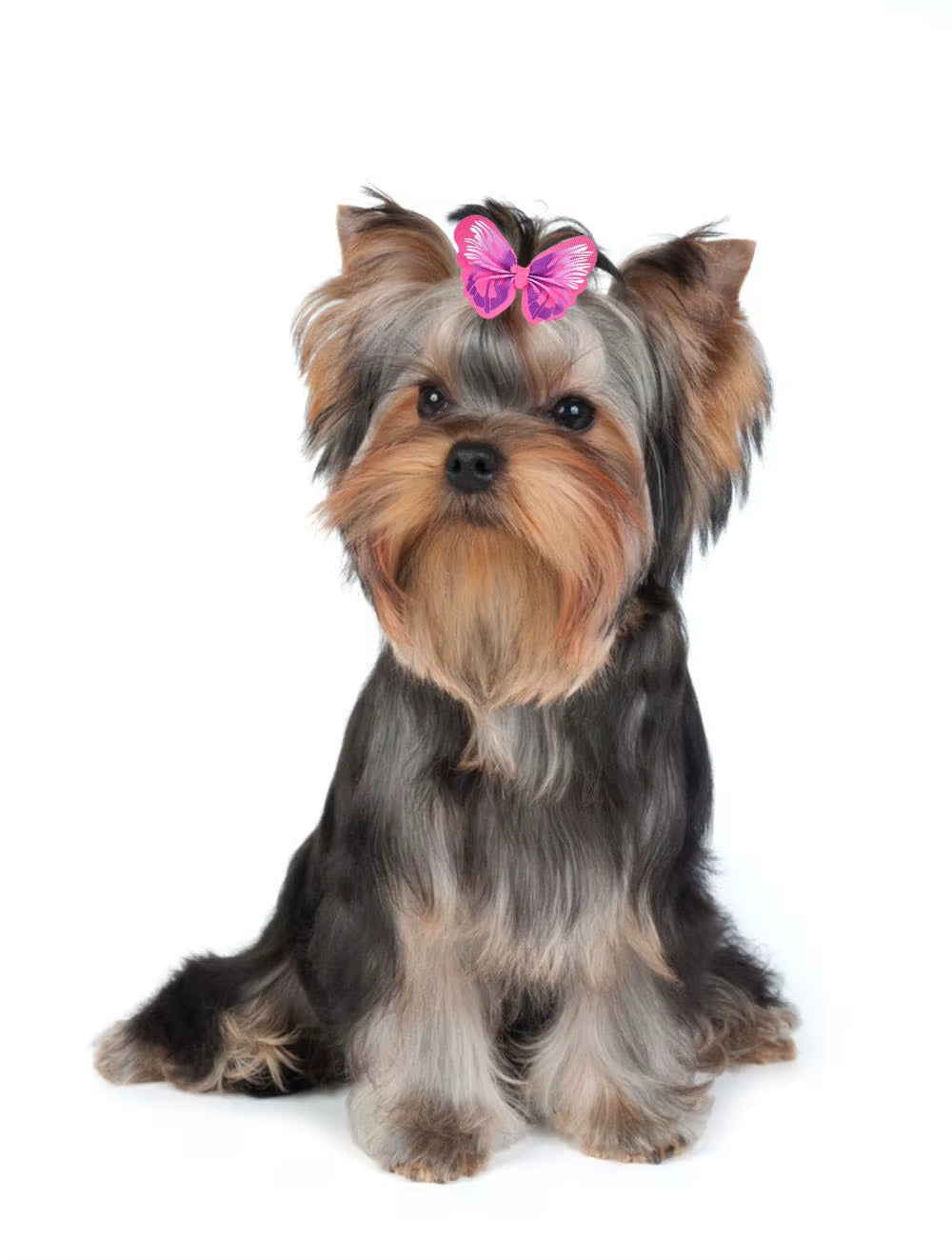 Groom8 50 Pcs Butterfly Design Dog Hair Bows