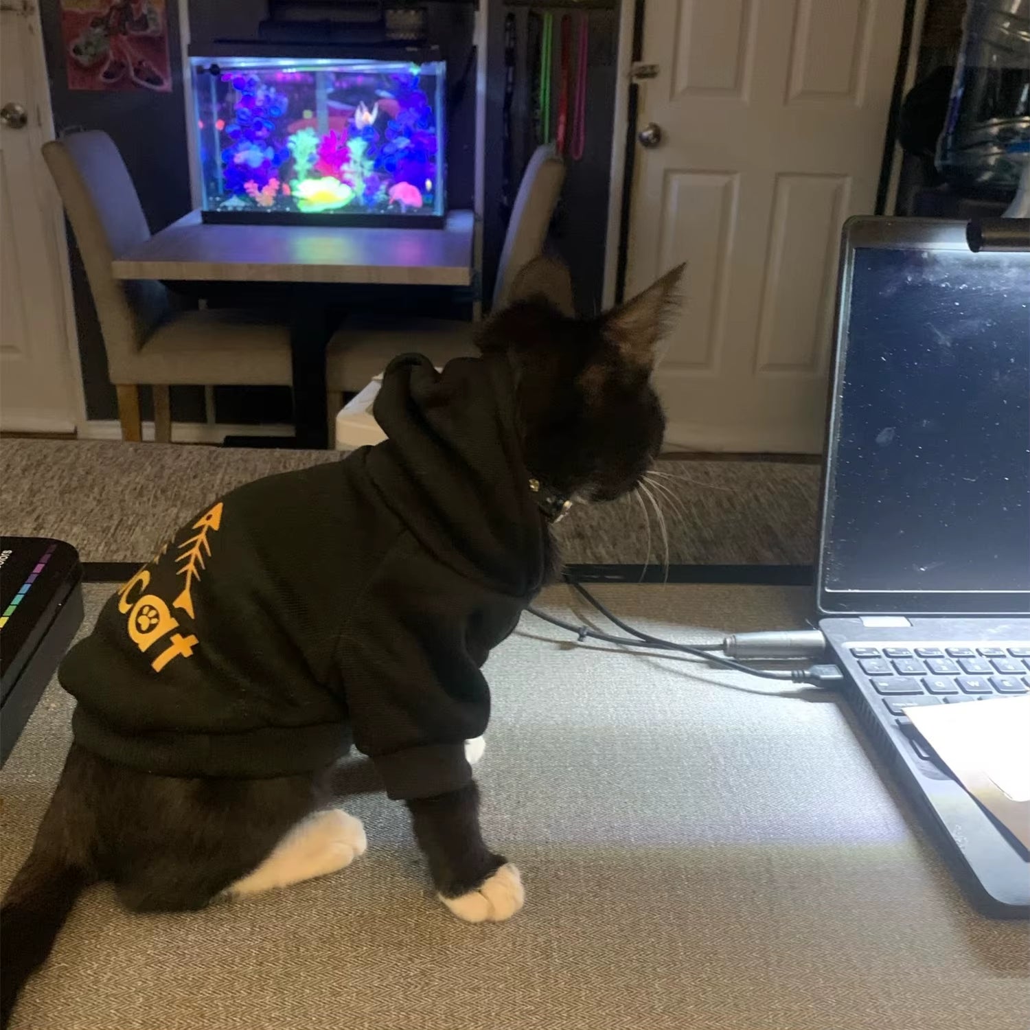 ADICAT Fashion Fleece Hoodie