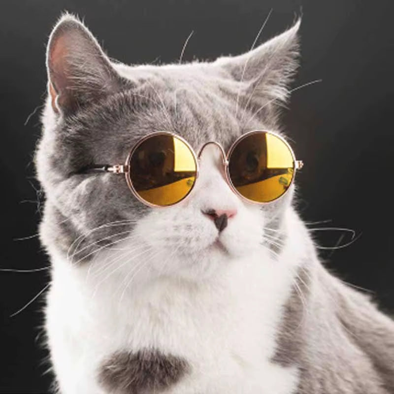 StreetPetz Cat Sunglasses 