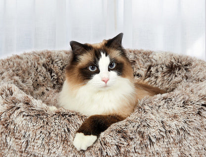 Pawevo XL Calming Donut Bed
