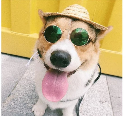 StreetPetz Cat Sunglasses 