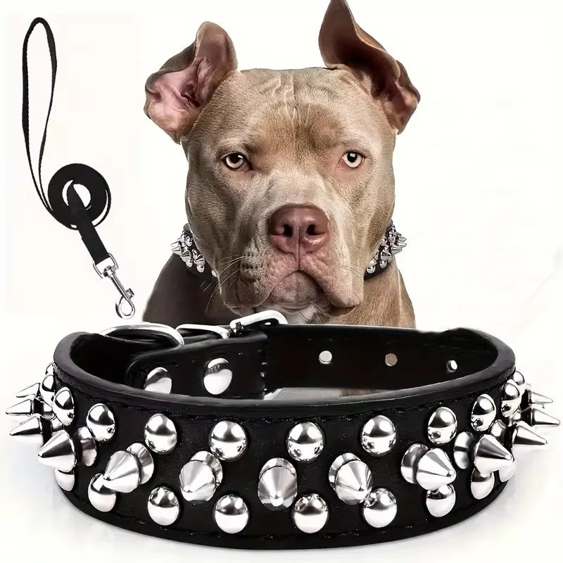 Bossy Dog Spiked Leather Dog Collar & Leash Set