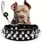 Bossy Dog Spiked Leather Dog Collar & Leash Set