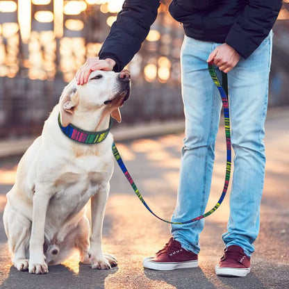 GlowStride Reflective Nylon Dog Collar & Leash Set