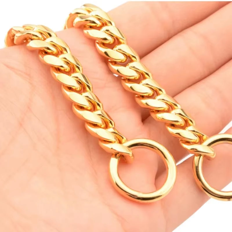 RoyalGuard Gold Stainless Steel Dog Chain Collar