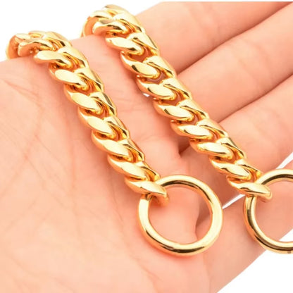 RoyalGuard Gold Stainless Steel Dog Chain Collar