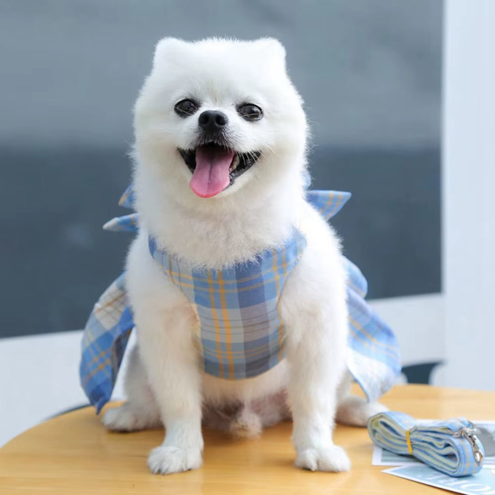 Paws & Lush Summer Plaid Bow Dog Dress with Leash Set
