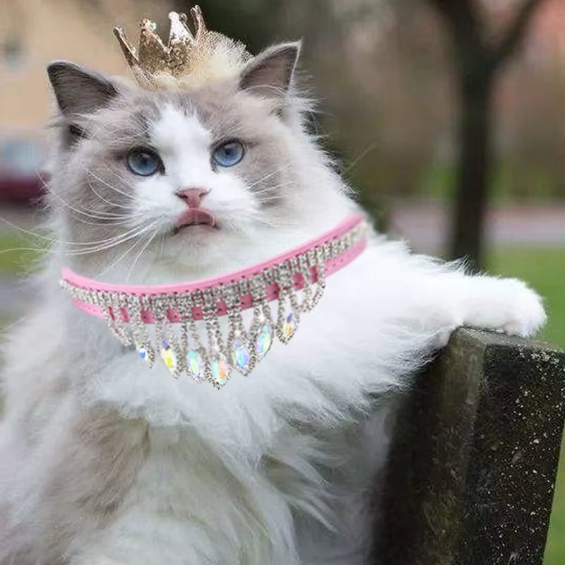 Sassy Cat Jeweled PU Leather Pet Collar with Rhinestone Buckle