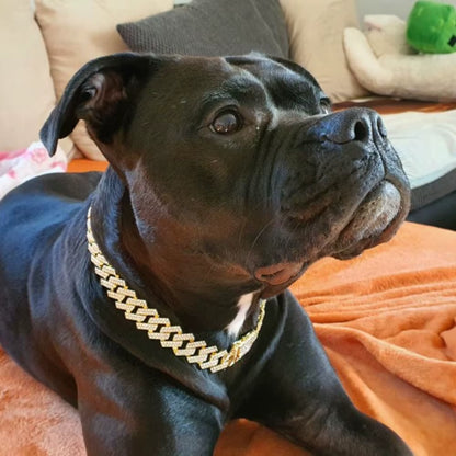 BoldPaw 20mm Gold Dog Collar Chain