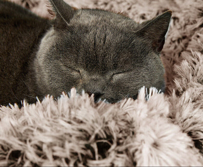 Pawevo XL Calming Donut Bed