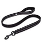 StryderZ Soft Padded Reflective Dog Leash