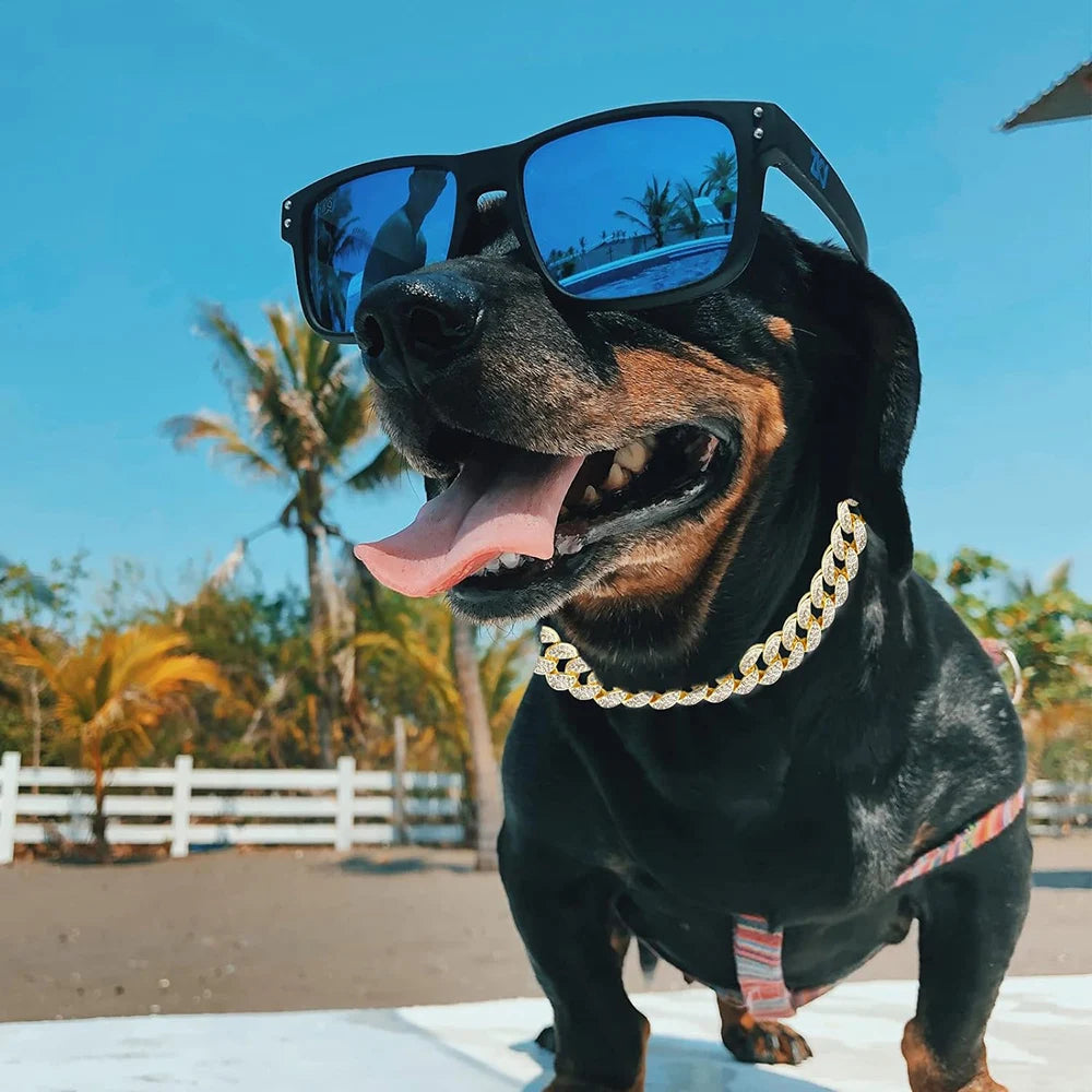 RoyalPaws Gold Diamond Cuban Link Dog Collar
