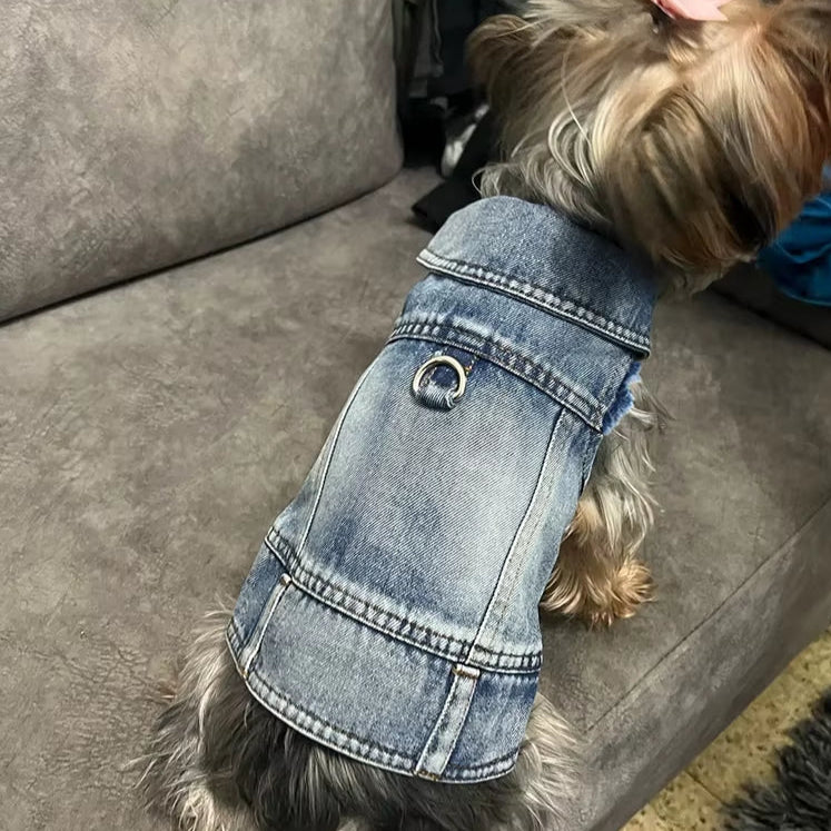 BoldPaw Summer Denim Vest 