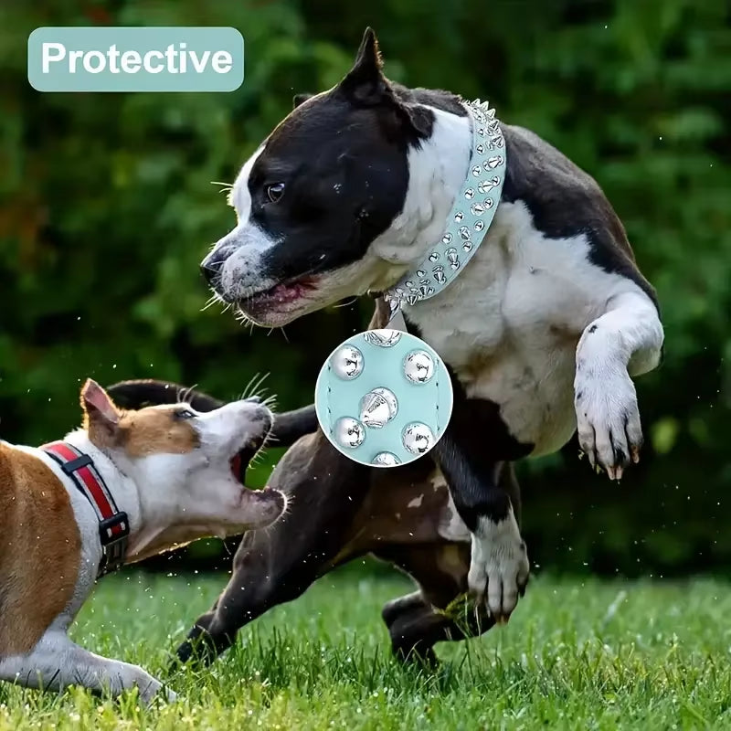Bossy Dog Spiked Leather Dog Collar & Leash Set