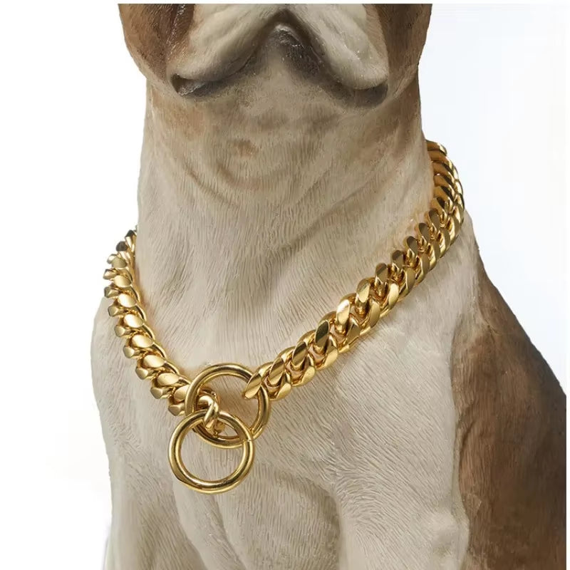 RoyalGuard Gold Stainless Steel Dog Chain Collar