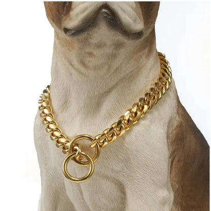 RoyalGuard Gold Stainless Steel Dog Chain Collar