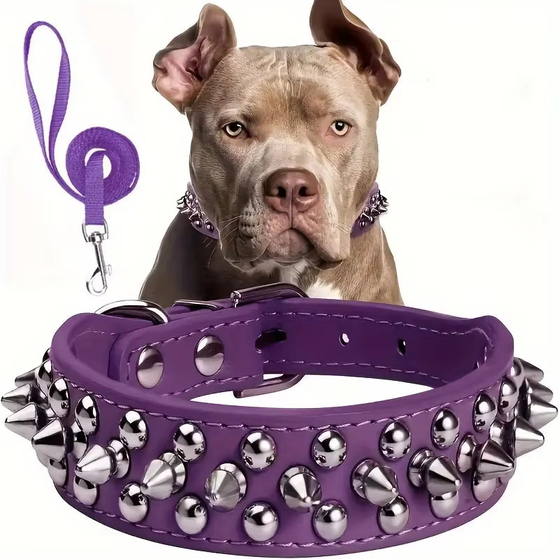 Bossy Dog Spiked Leather Dog Collar & Leash Set