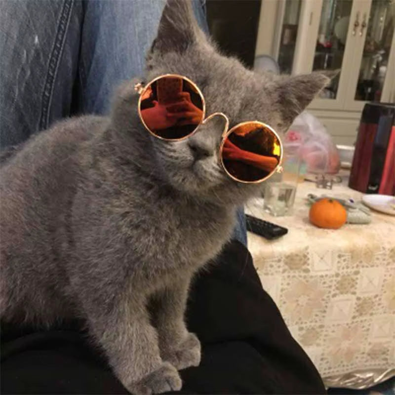 StreetPetz Cat Sunglasses 