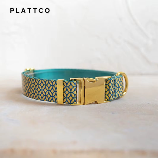 PLATTCO Wealthy Coins Designer Dog Collar Set