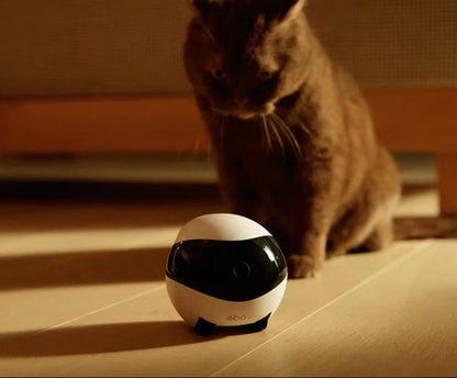 Intelligent Pet Monitoring Camera- Pet Home Companion