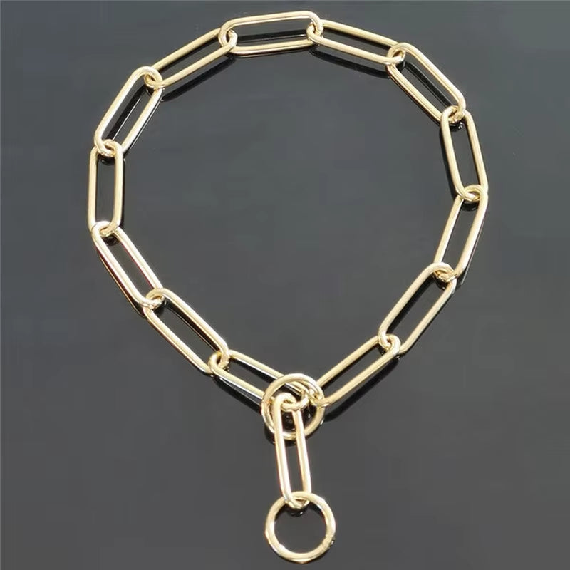 BrassGuard Solid Brass P-Chain Dog Collar