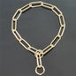 BrassGuard Solid Brass P-Chain Dog Collar
